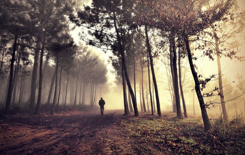Person Walking on Path — Brown, Misty, Morning