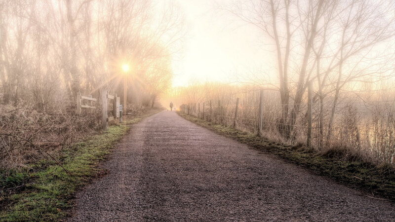 Person Walking on Path — Brown, Serene, Morning