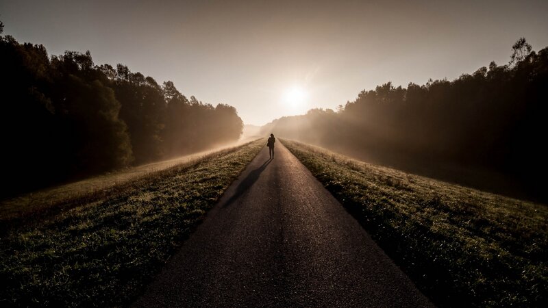 Person Walking on Path — Brown, Serene