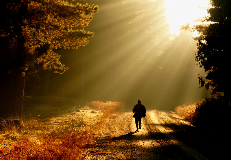 Person Walking on Path — Gold