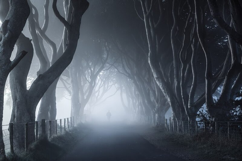Person Walking on Path — Gray, Mysterious