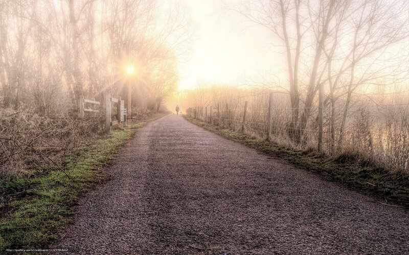 Person Walking on Path — Gray, Serene