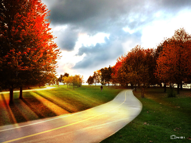 Person Walking on Path — Green, Dramatic