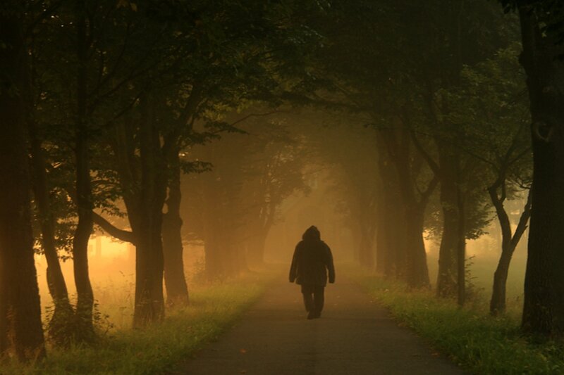 Person Walking on Path — Green, Misty