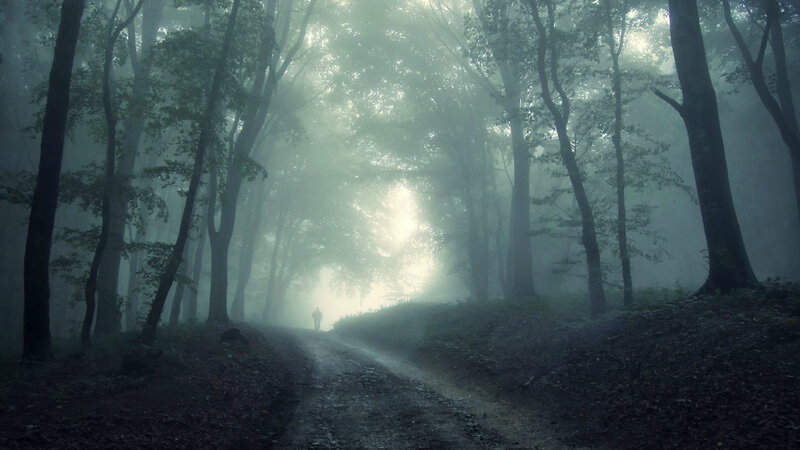 Person Walking on Path — Green, Mysterious
