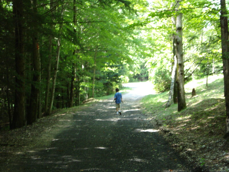 Person Walking on Path — Green, Serene, Afternoon, Photograph, Trees, Forest