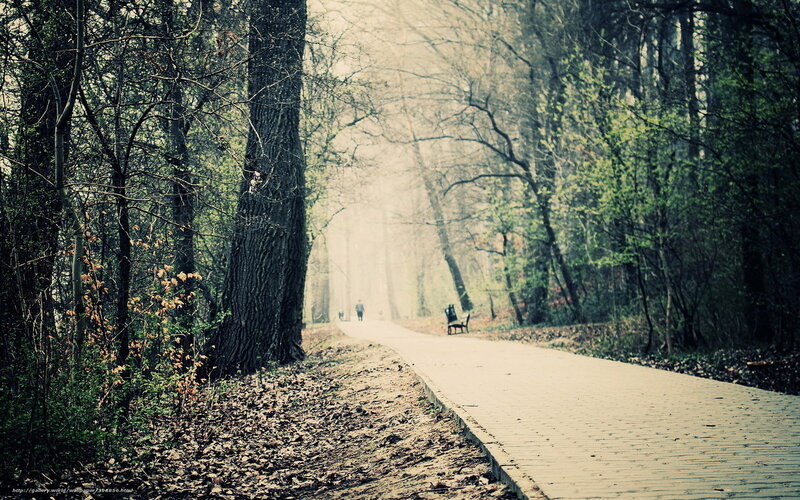 Person Walking on Path — Green, Serene, Spring
