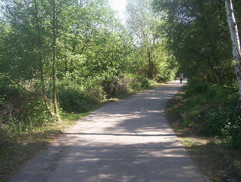 Person Walking on Path — Green