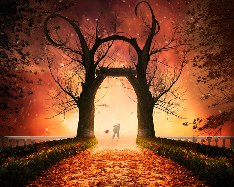 Person Walking on Path — Orange, Dramatic, Autumn