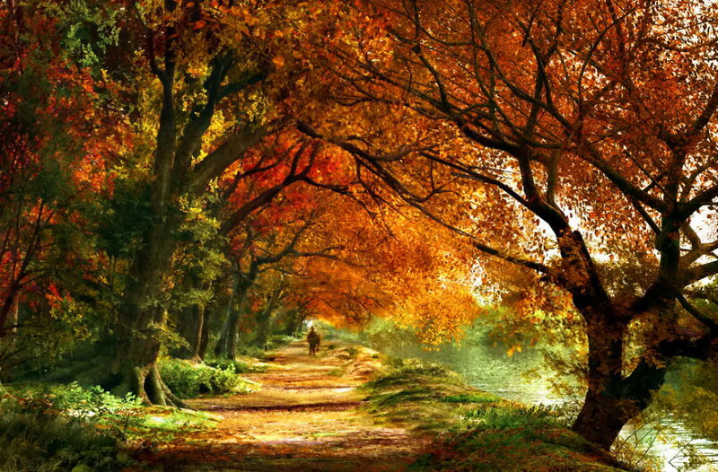 Person Walking on Path — Orange, Serene, Autumn, Photograph