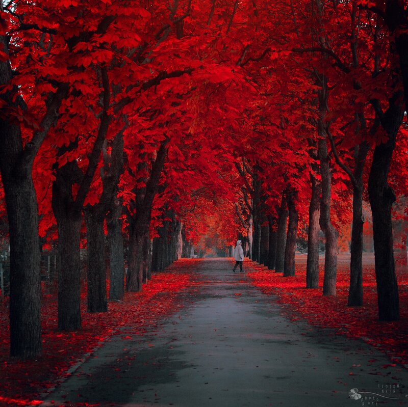 Person Walking on Path — Red, Dramatic
