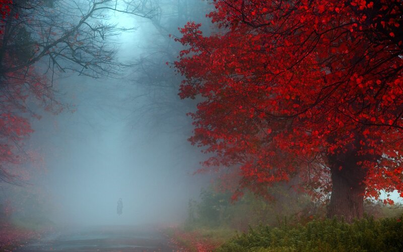 Person Walking on Path — Red, Misty