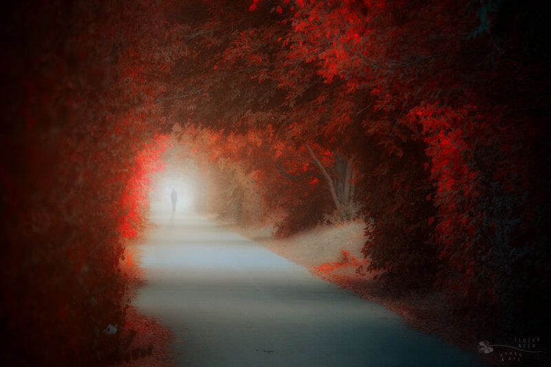 Person Walking on Path — Red, Mysterious