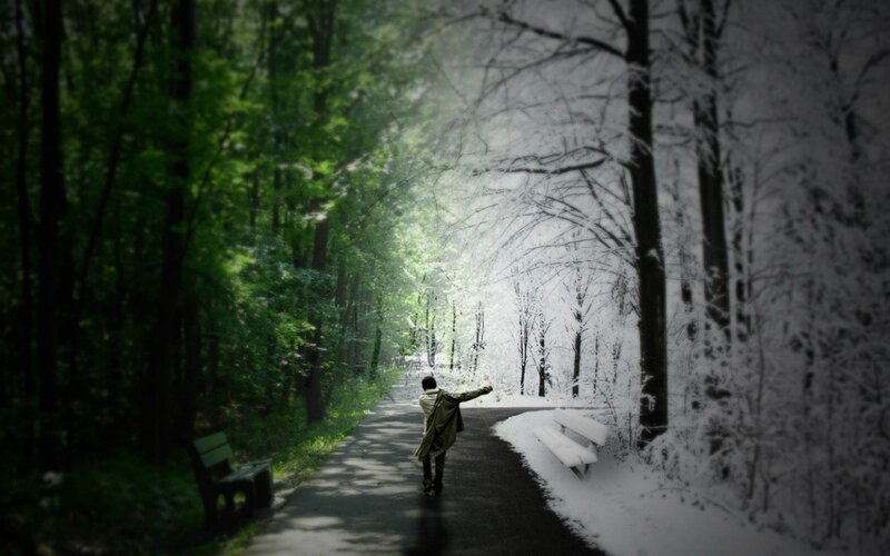 person walking on path through forest