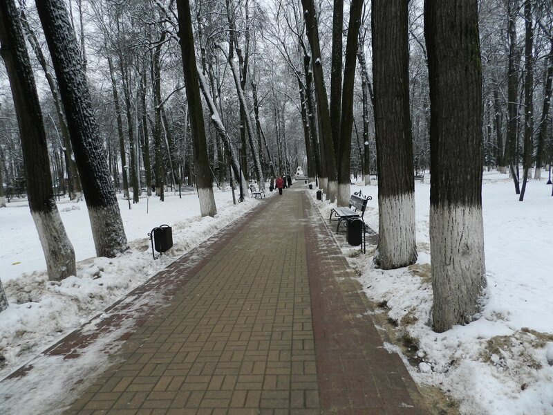 Person Walking on Path — White, Quiet