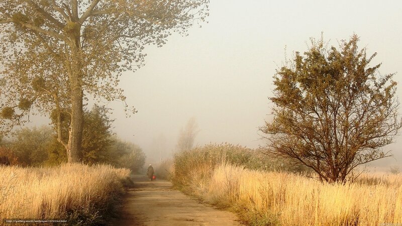 Person Walking on Path — Yellow, Misty, Morning