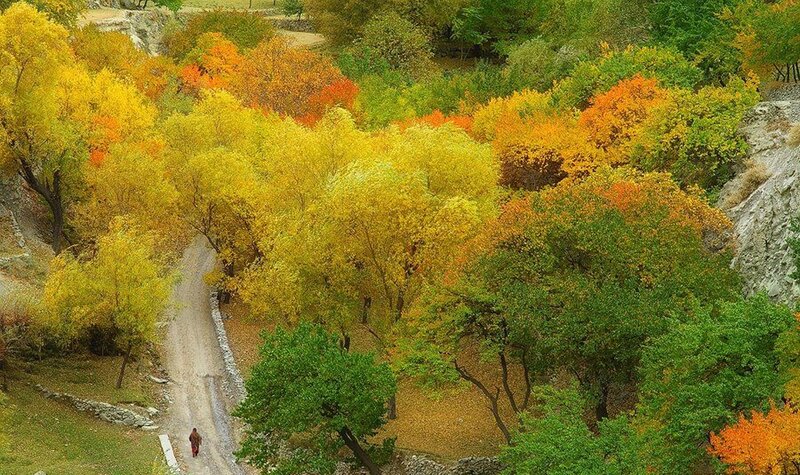 Person Walking on Path — Yellow, Serene, Autumn, Photograph, Trees, Rocks