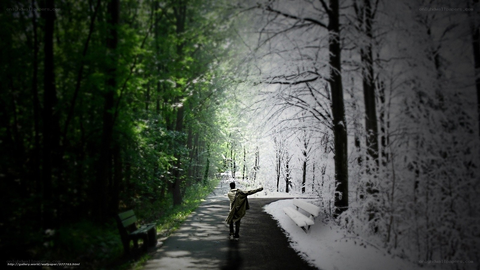person walking on path