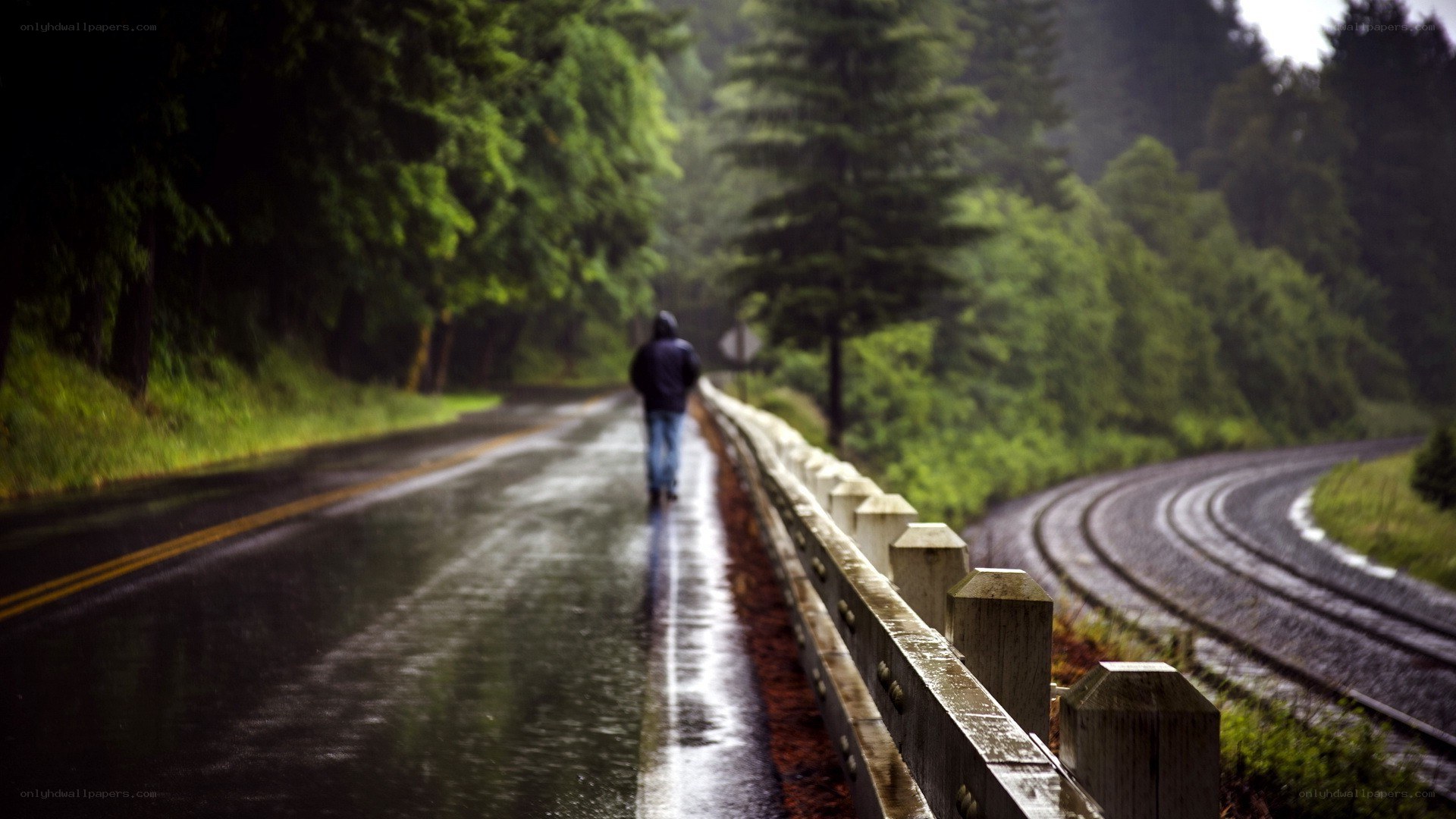 person walking on rainy road