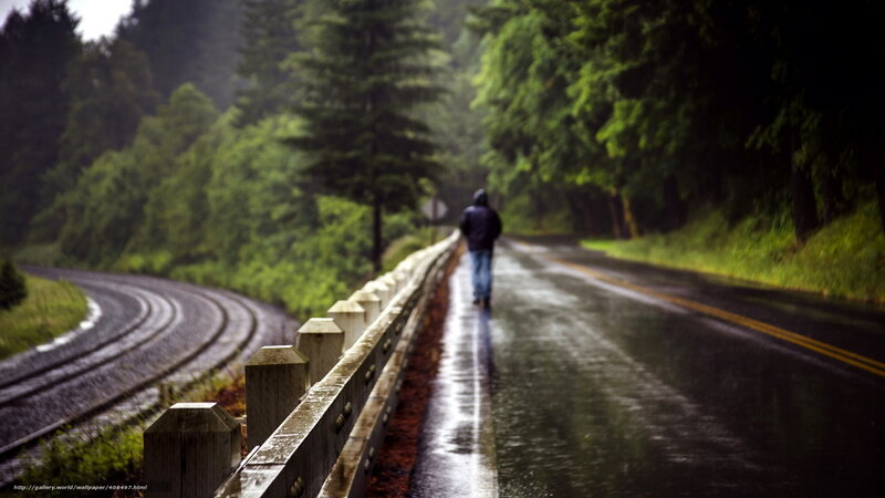person walking on rainy road