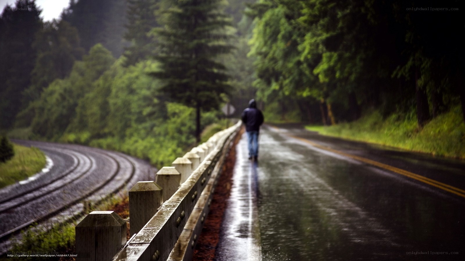 person walking on rainy road