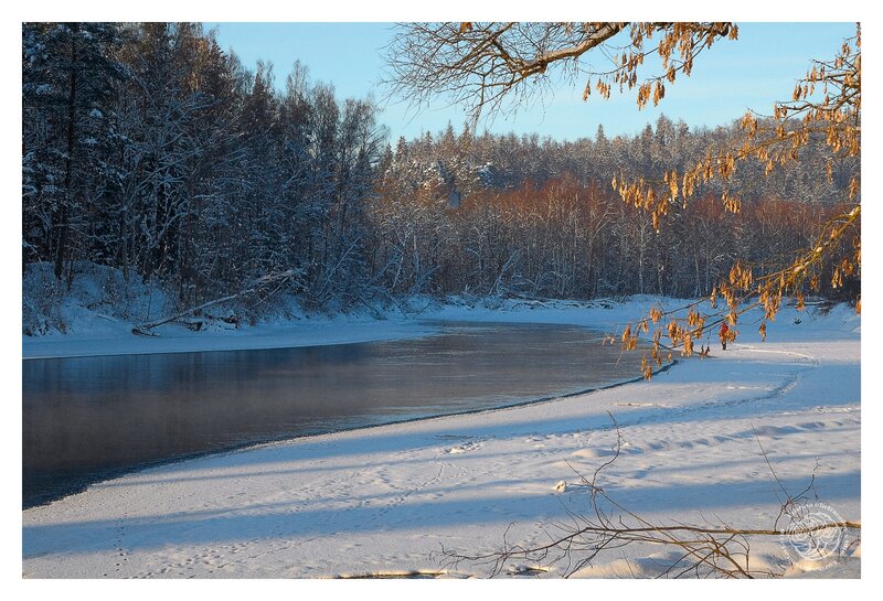 Person Walking on Riverbank