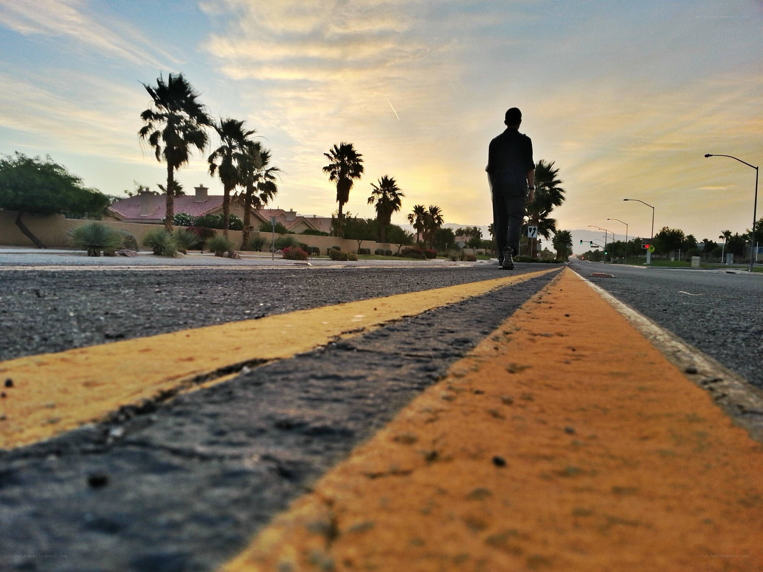 person walking on road at sunset