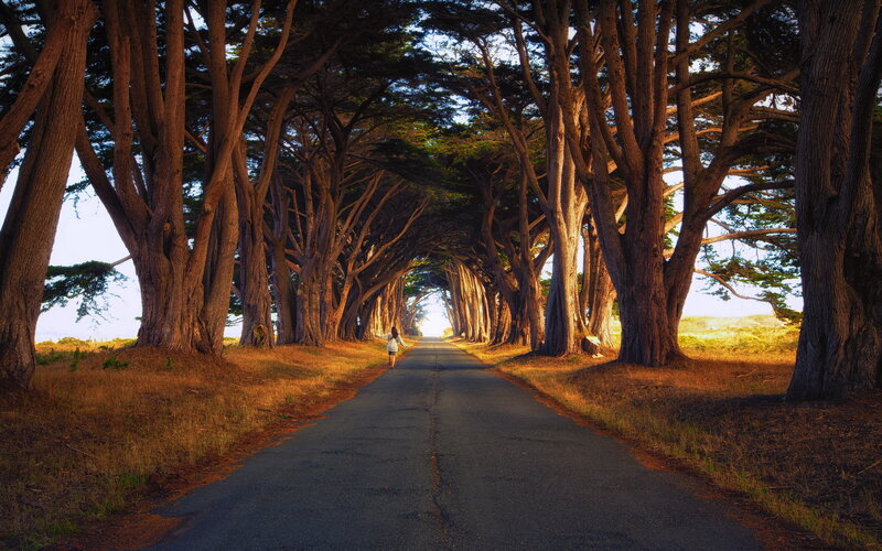 Person Walking on Road — Brown, Serene, Sunset