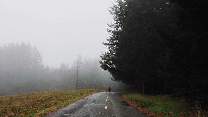 Person Walking on Road — Gray, Misty