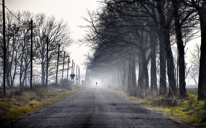 Person Walking on Road — Gray, Somber