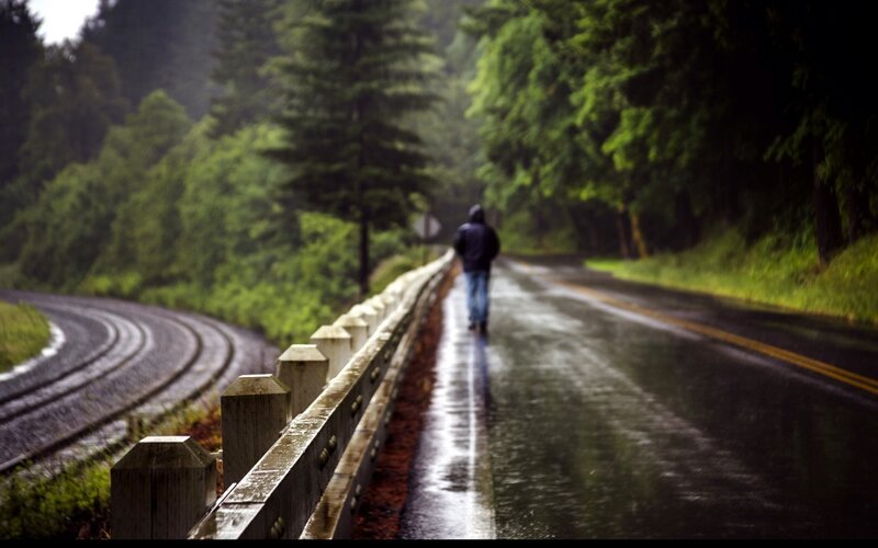 Person Walking on Road — Green, Dreary