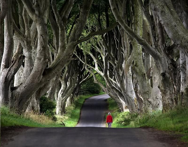 Person Walking on Road — Green