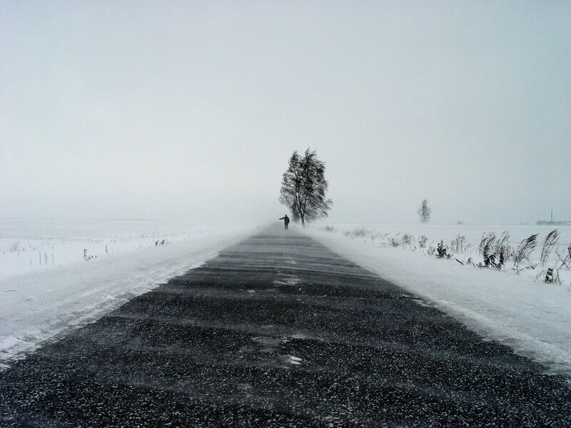 Person Walking on Road — White, Dreary