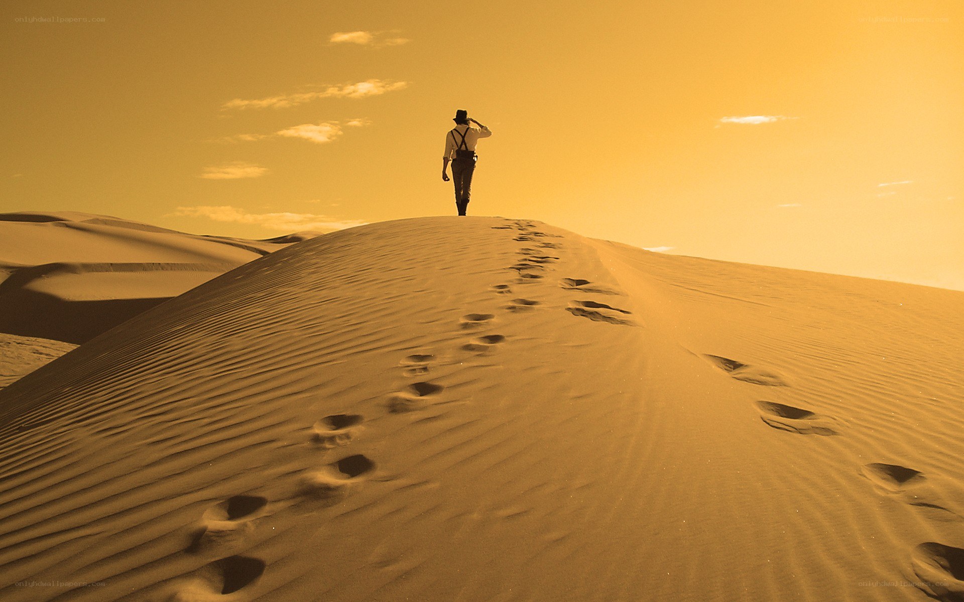 person walking on sand dune