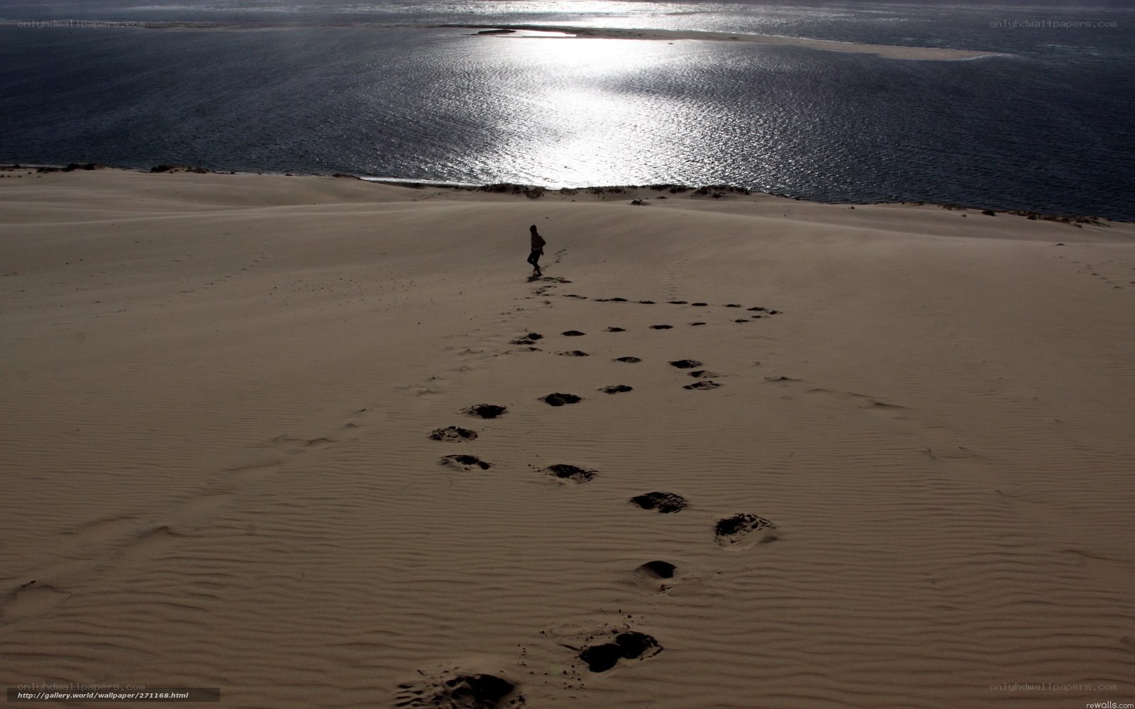 Person walking on sand dune