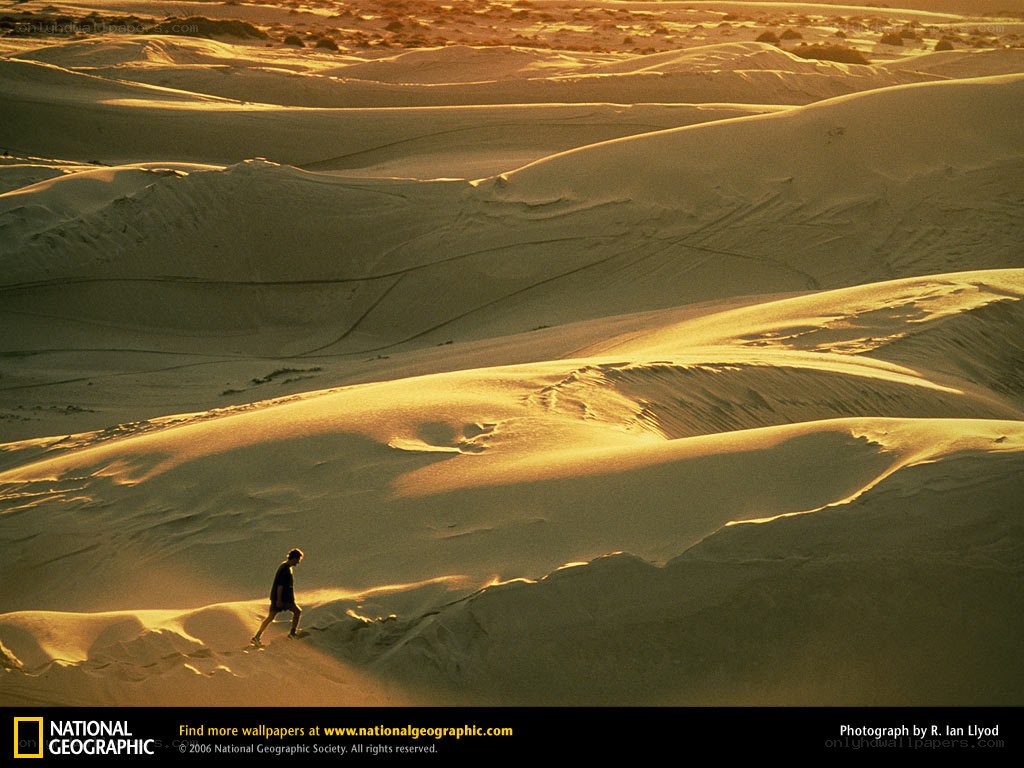 Person walking on sand dunes
