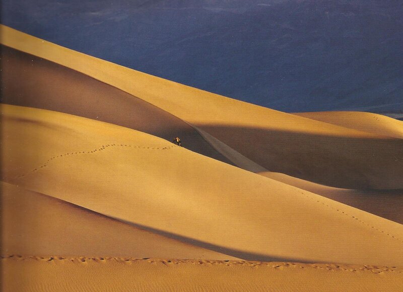 Person Walking on Sand Dunes — Yellow