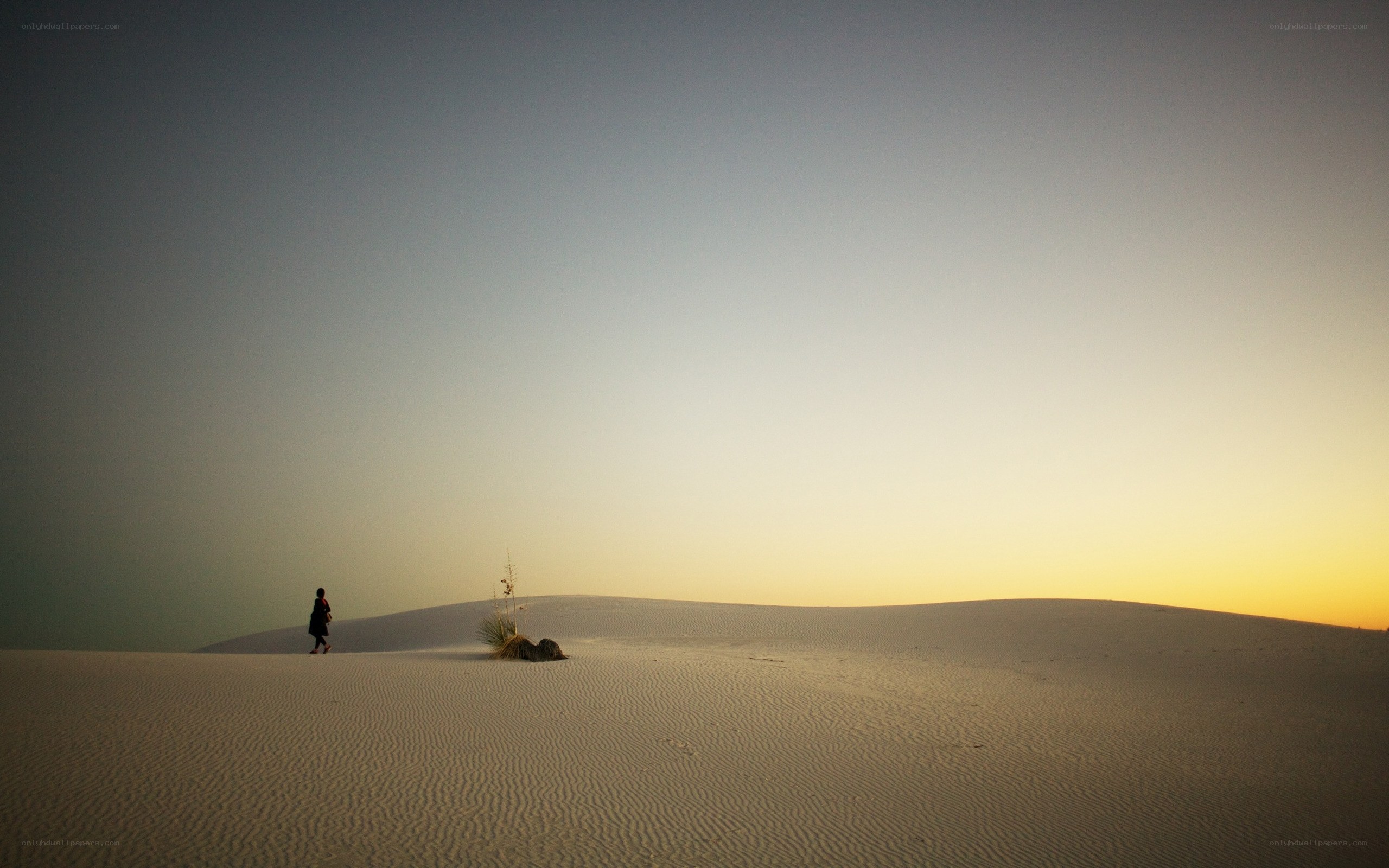 Person walking on sand dunes