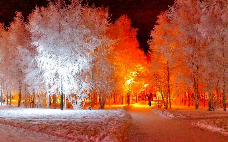 Person Walking on Snowy Path — White, Serene, Night
