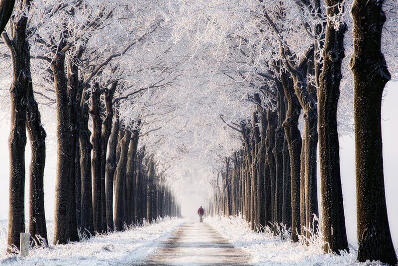 Person Walking on Snowy Path — White, Serene