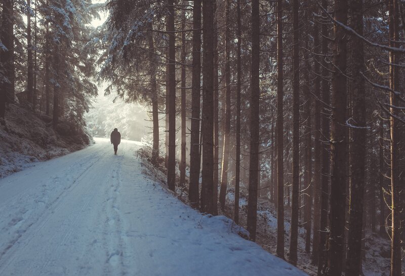 Person Walking on Snowy Path — White, Serene, Winter, Photograph, Snow