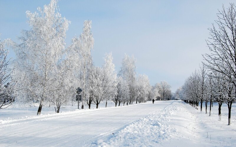 Person Walking on Snowy Path — White, Serene, Winter, Photograph, Trees, Snow, Road