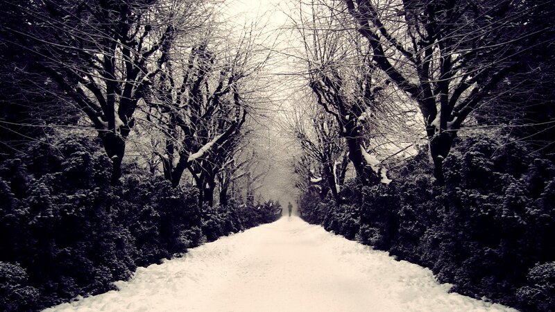 Person Walking on Snowy Path — White, Serene, Winter, Photograph, Trees, Snow