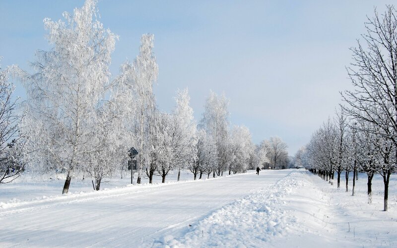 Person Walking on Snowy Path — White, Serene, Winter