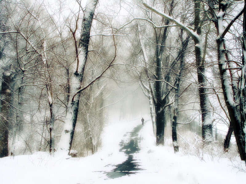Person Walking on Snowy Path — White