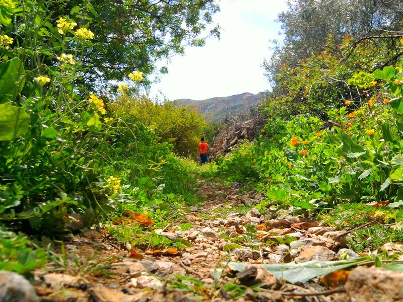 Person Walking on Trail