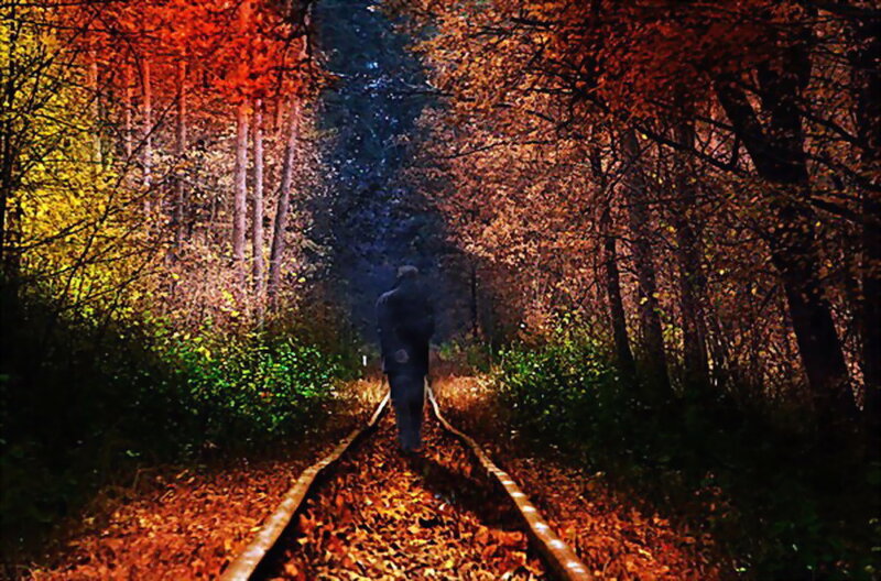 Person Walking on Train Tracks — Orange