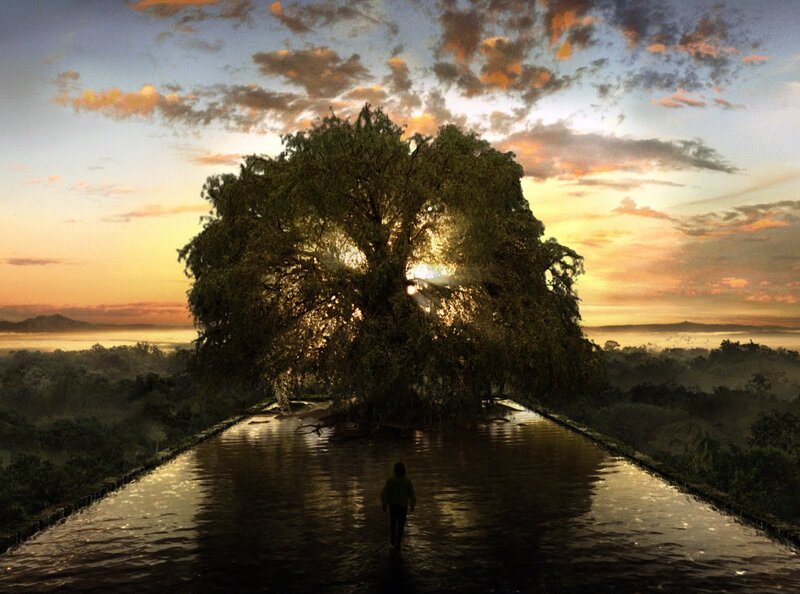 person walking on water at sunset