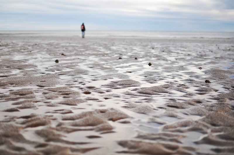 person walking on wet beach