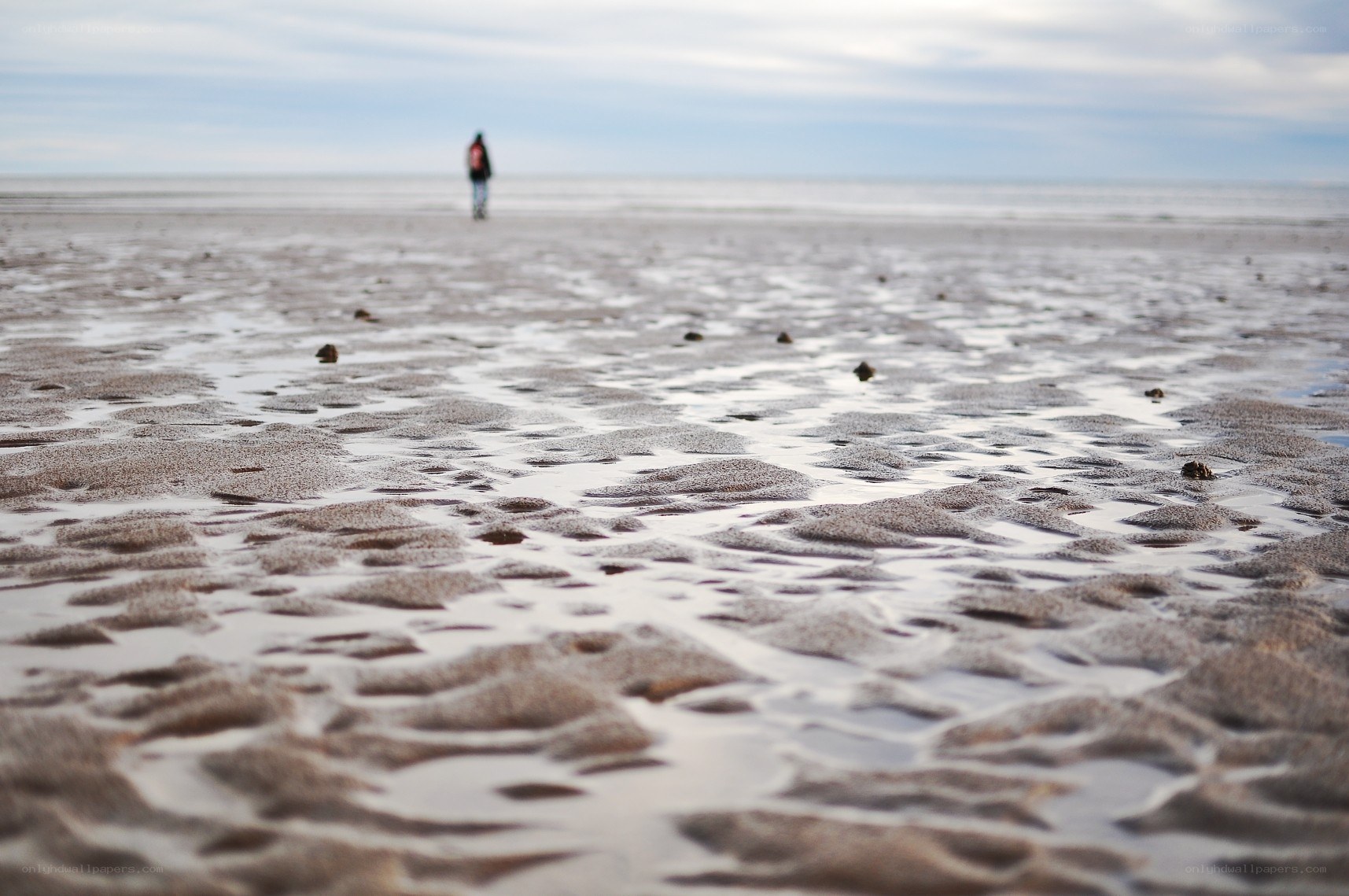 person walking on wet beach